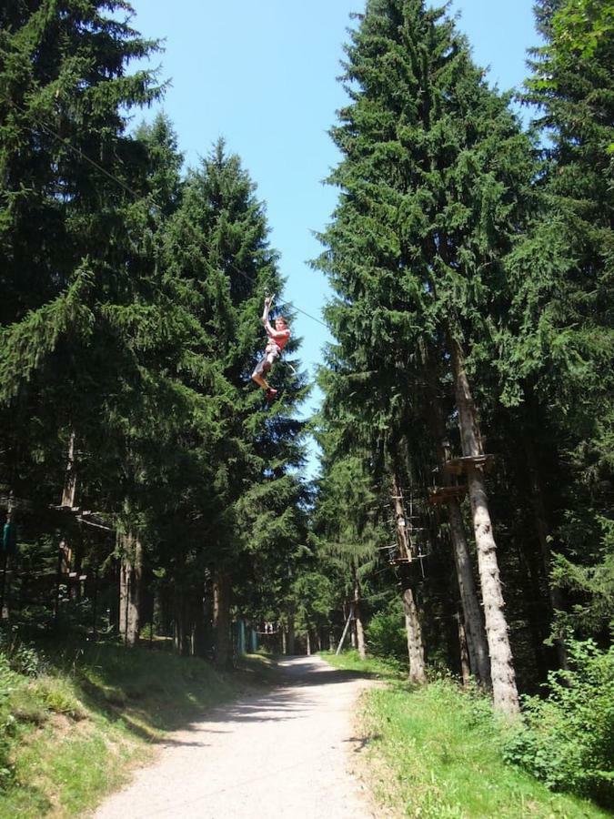 Chalet Les Trappeurs レ・キャローズ・ダラッシュ エクステリア 写真