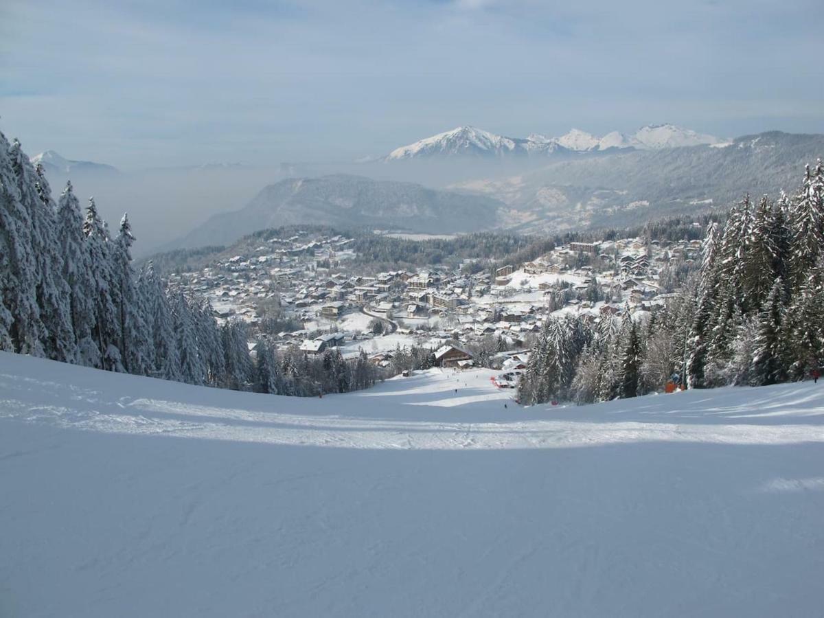 Chalet Les Trappeurs レ・キャローズ・ダラッシュ エクステリア 写真